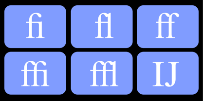 Times New Roman Font Poster 6